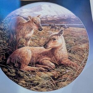 Royal Grafton REINDEER collector plate"Reindeer Young" Polar Wildlife Series